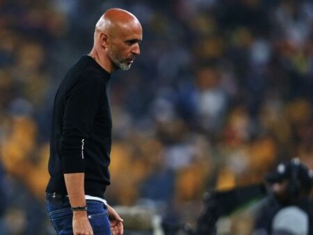 Cardoso: New Signings Not Brought In to Replace Departed Star Ribeiro
