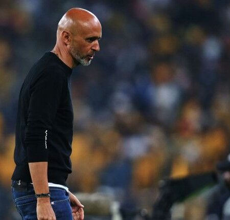Cardoso: New Signings Not Brought In to Replace Departed Star Ribeiro