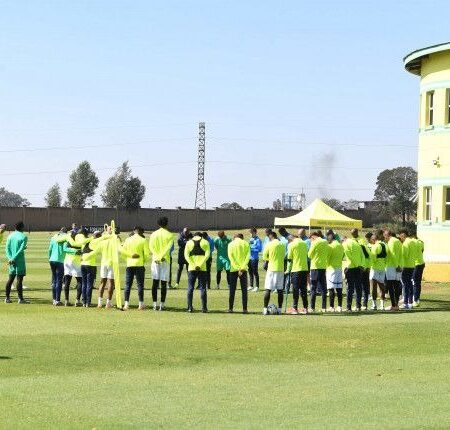 Sundowns Signal Faith in Youth as Teenage Defender Liam Marthinus Trains with Seniors