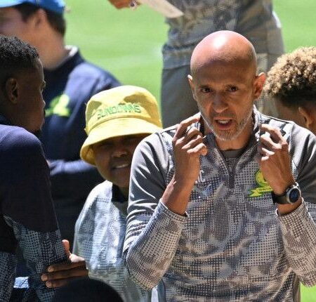 Cardoso Reveals Mokoena’s Personal Torment Over FIFA Controversy