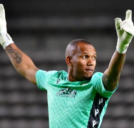 Goalkeeper Ricardo Goss Eyes Nedbank Cup Final and Future Clarity