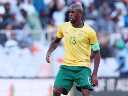 Zimbabwe’s Hardrock Eye Mngonyama Amid Squad Overhaul, But Face Uphill Battle